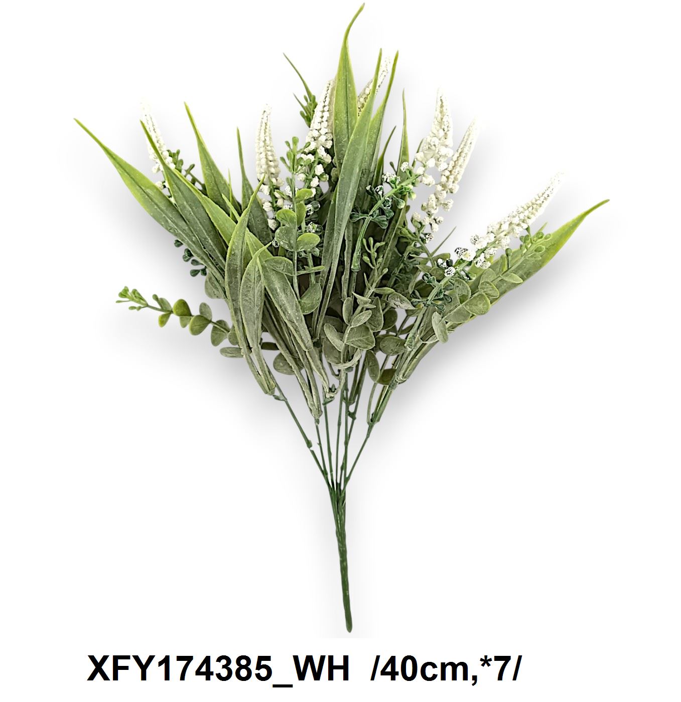 XFY174385_WH