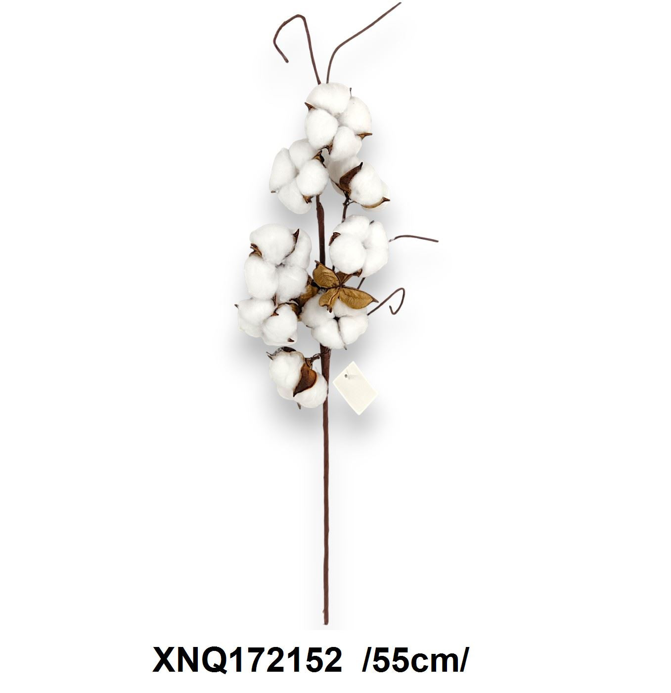 Gyapot ág /55cm/ Fő kép