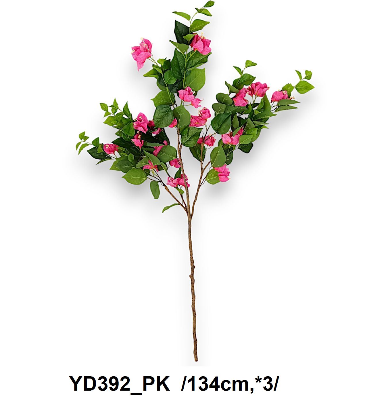 Bougainvillea fa /134cm.*3/ Fő kép