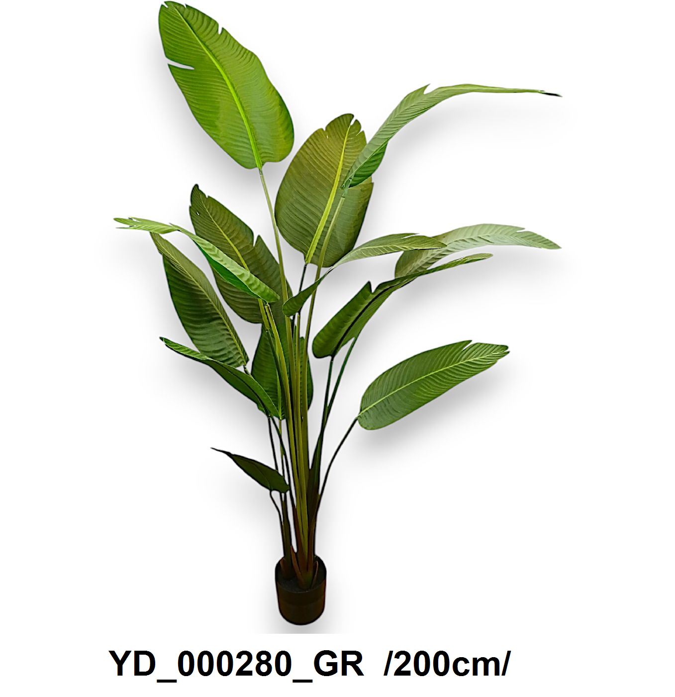 YD_000280_GR