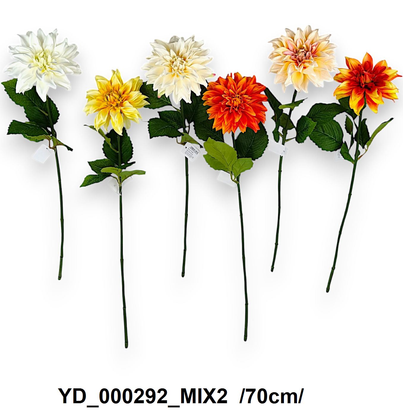 YD_000292_MIX2