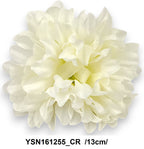 YSN161255_CR