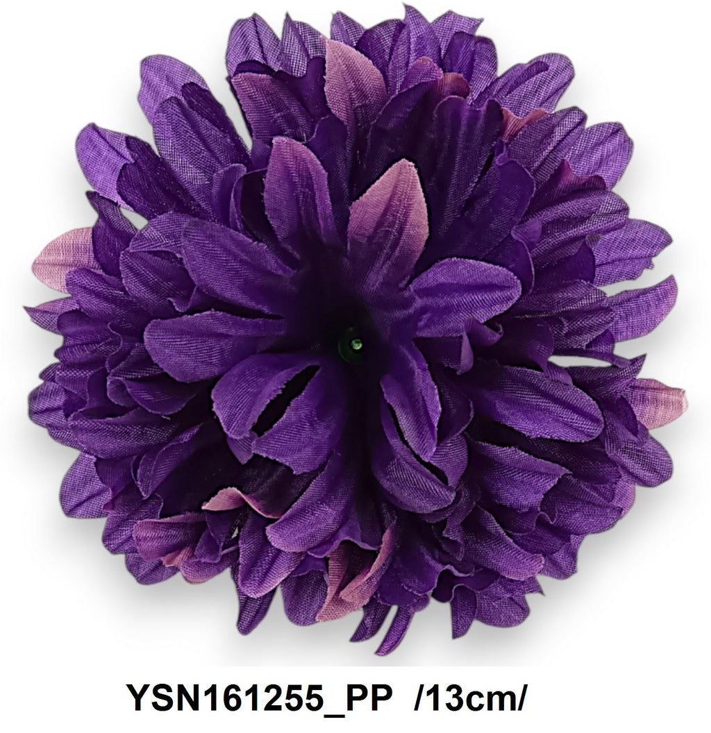 YSN161255_PP