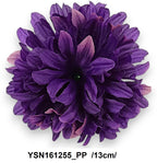 YSN161255_PP