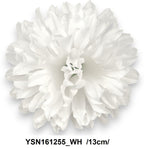 YSN161255_WH